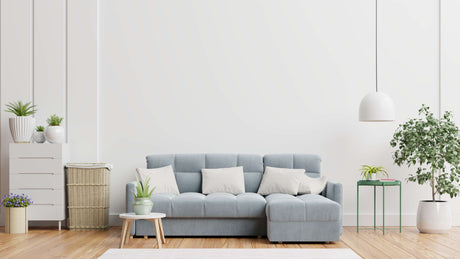 blog-image-Sofa-selection-process-in-a-well-furnished-living-room