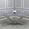 Modern-6-8-Seater-glass-dining-table-rectangular-grey-glass-top-stainless-steel-curved-base