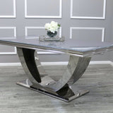 Modern-6-8-Seater-glass-dining-table-rectangular-grey-glass-top-stainless-steel-curved-base