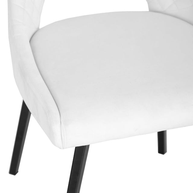 Odessa Modern Velvet Swivel Dining Chairs Set of 2