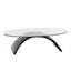 Modern-Oval-Glass-Top-Coffee-Table-With-Curved-Black-High-Gloss-Base-110cm