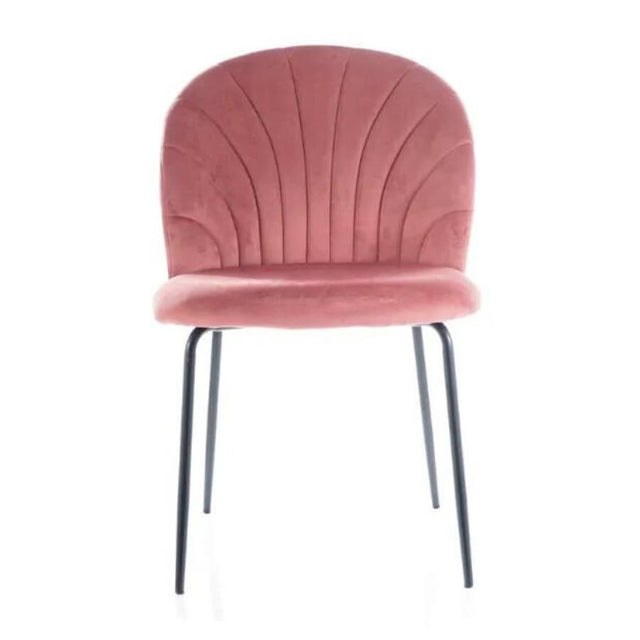 Modern-Pink-Velvet-Dining-Chair-With-Curved-Stitching-_-Black-Metal-Legs-Set-of-4