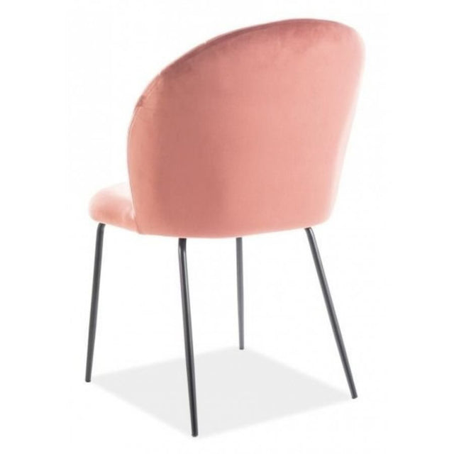 Modern-Pink-Velvet-Dining-Chair-With-Curved-Stitching-_-Black-Metal-Legs-Set-of-4