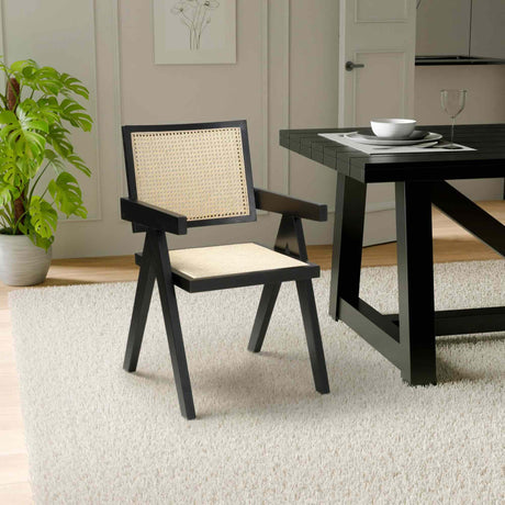 Akira Classic Modernist Black Rattan Dining Chairs Set of 2