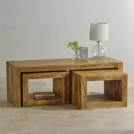 Rustic-Natural-Mango-Wood-Rectangular-Coffee-Table-With-2-Storage-Pieces-120cm